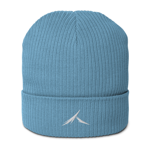 The "Focus" Beanie