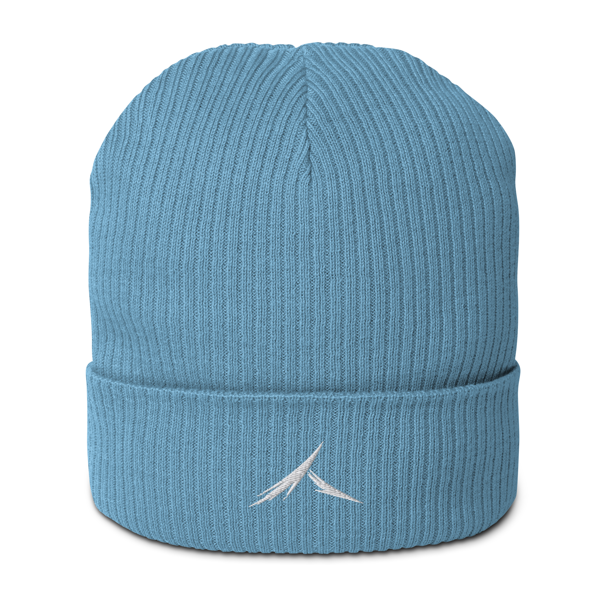 The "Focus" Beanie