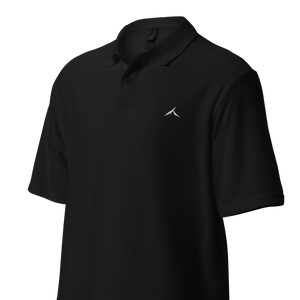 The "Standard" Polo