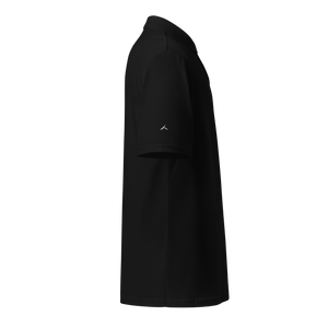 The "Standard" Polo